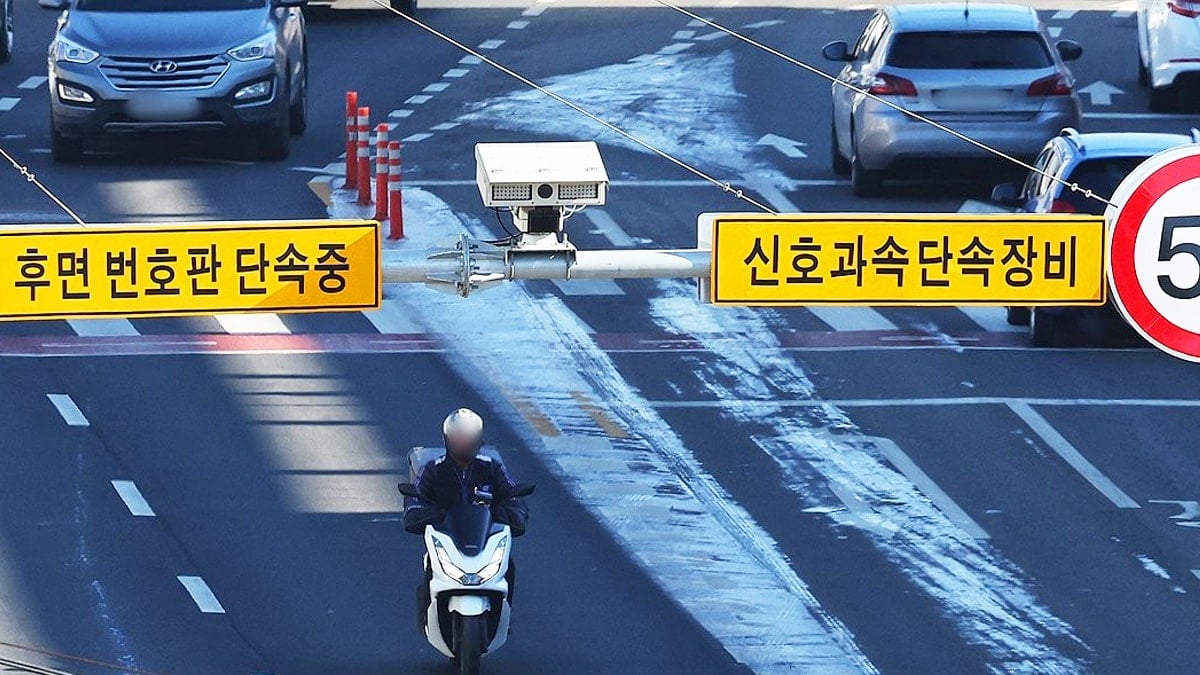 “이제 차량 뒷번호판까지 본다”… 도입 1년 만에 단속 건수 20배 급증한 ‘이 장비’