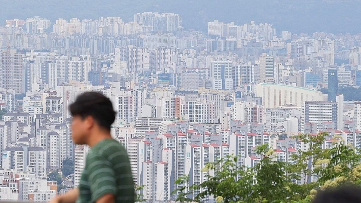 서울 남산에서 바라본 시내 아파트의 모습
