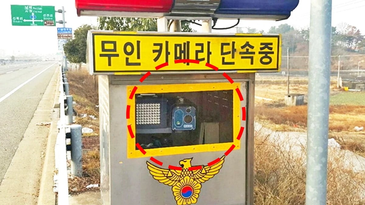 이동식 단속 카메라
