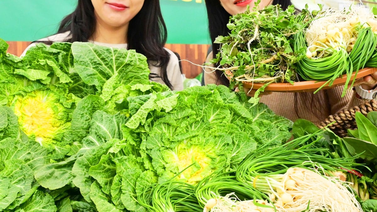 농협유통, 한겨울에 만나는 향긋한 봄나물 판매