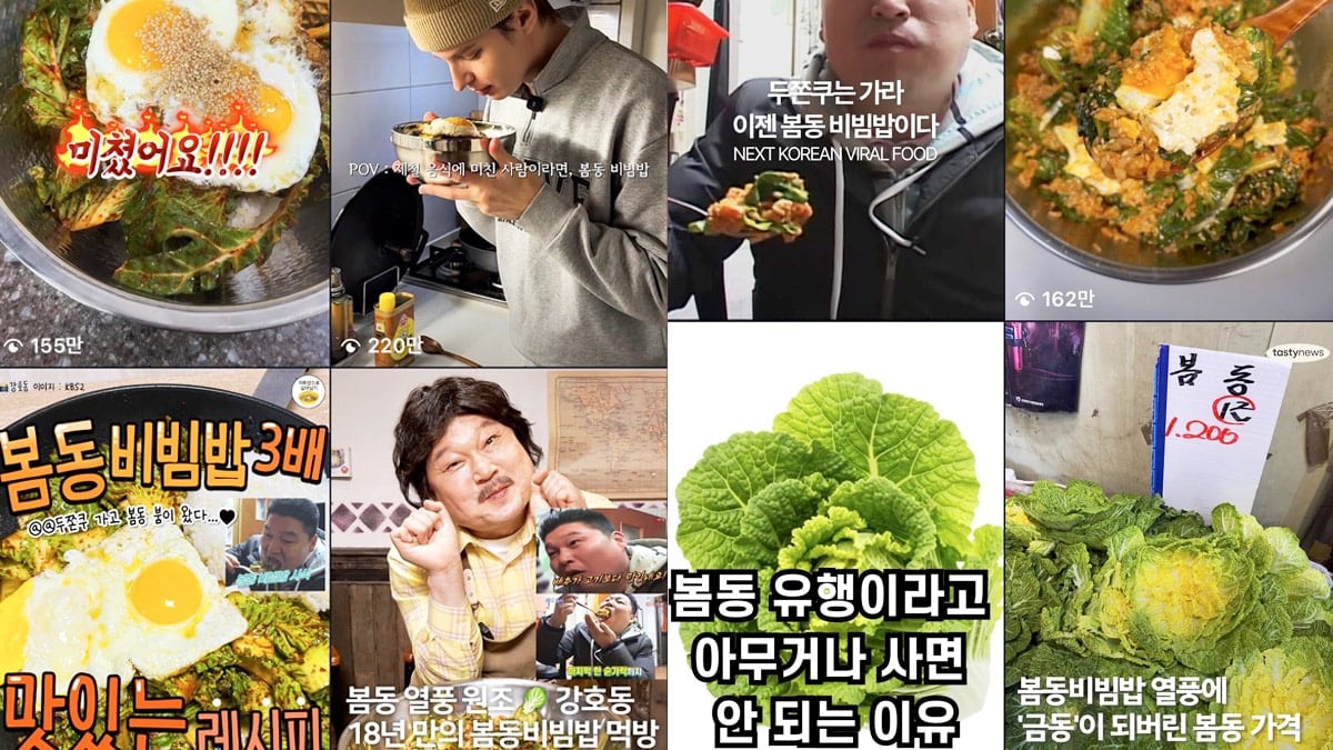 SNS서 봄동 유행