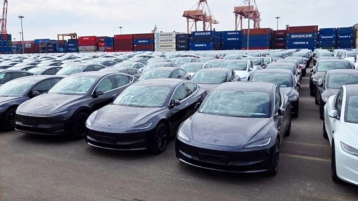 평택항으로 추정되는 부지에 방치된 테슬라 차량들