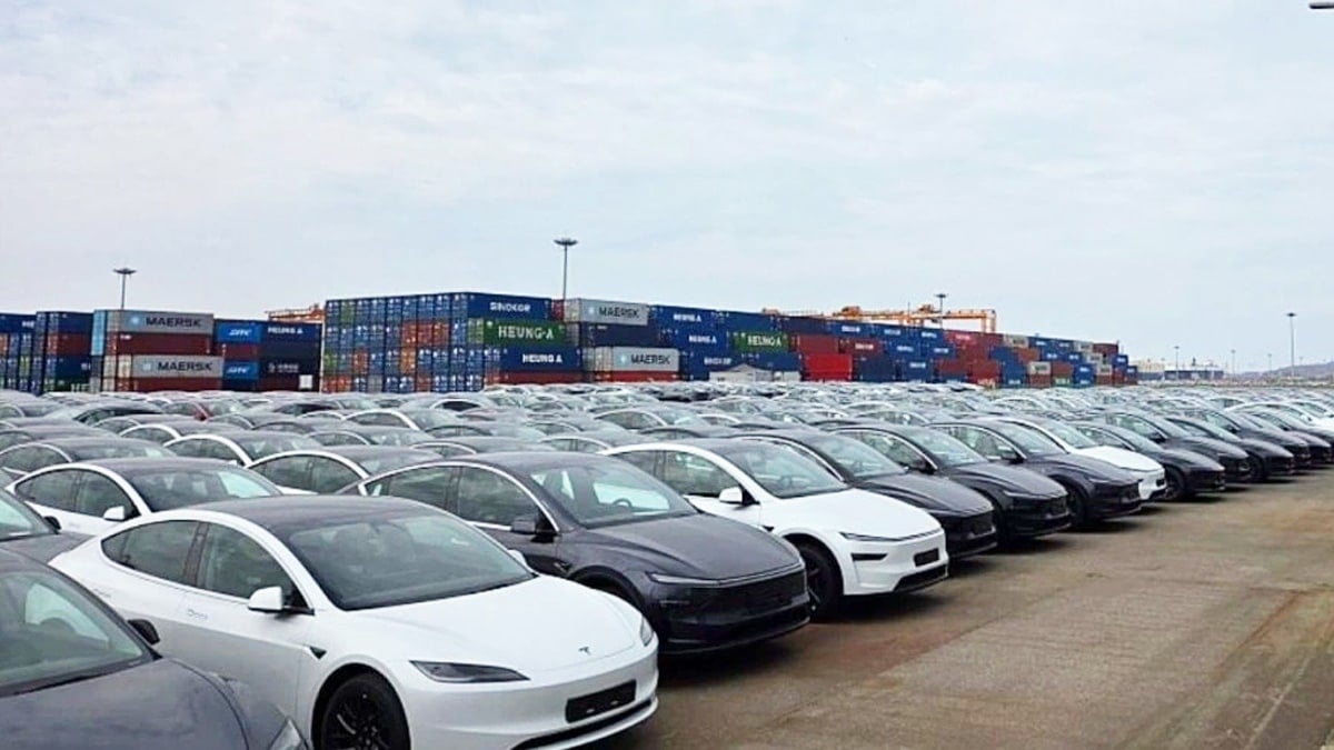 평택항으로 추정되는 부지에 방치된 테슬라 차량들