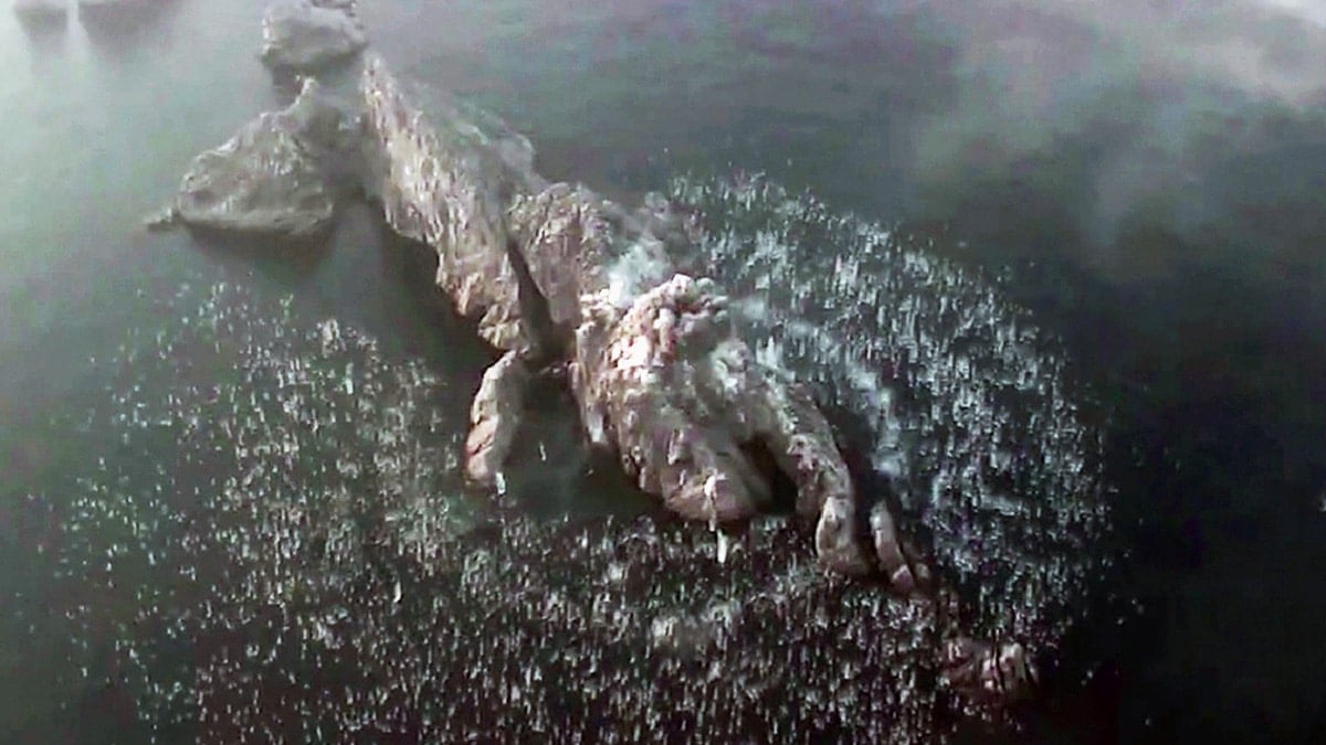 화성포-11라 위력