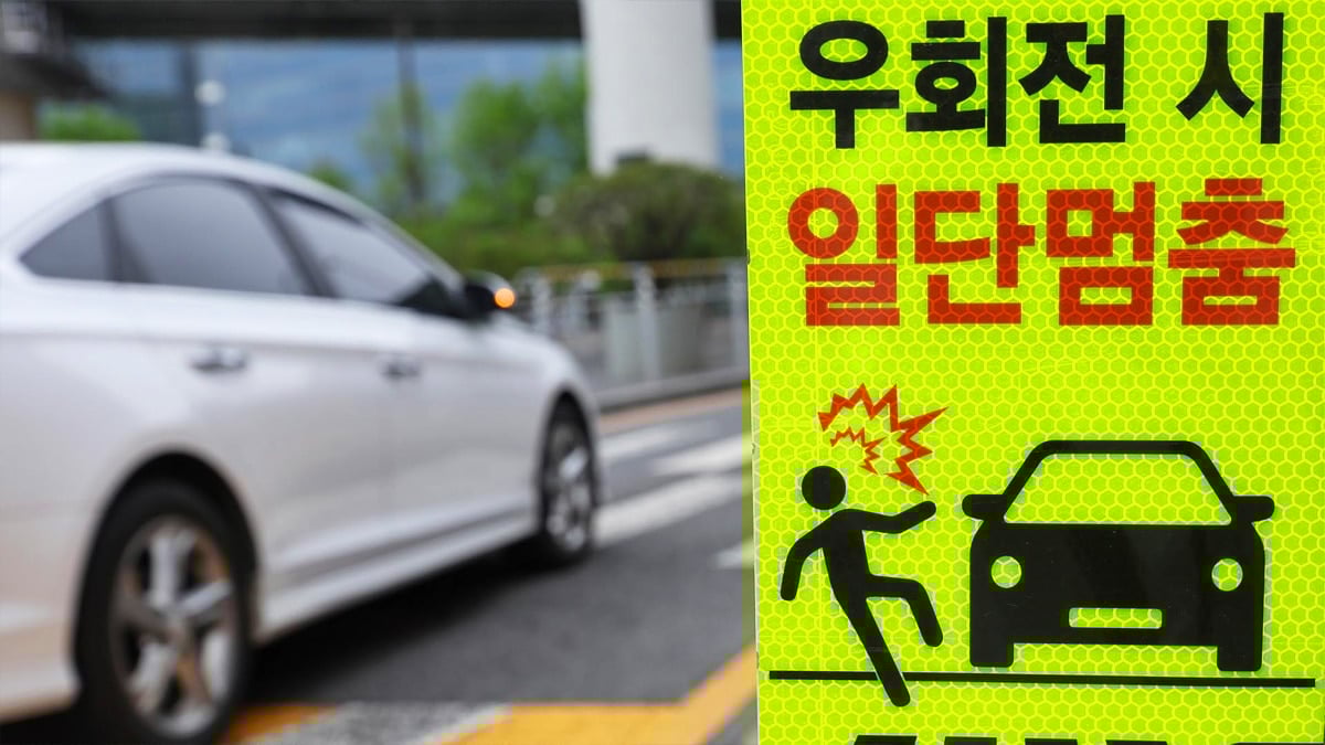 우회전 일시정지 단속