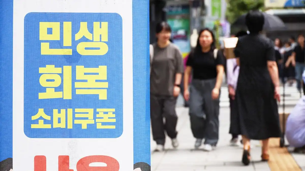 민생안정지원금 사용처