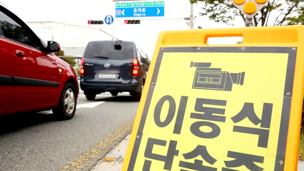 운전 단속 운전 단속